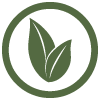 vegano